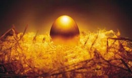 金蛋爆料最新,揭秘娱乐圈最新热点事件