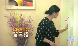 沈腾爆料岳母视频播放网站,揭秘背后播放网站之谜