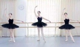 芭蕾舞老师爆料视频大全,老师爆料视频大全背后的惊人真相